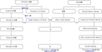 王家とカリリョ家.gif